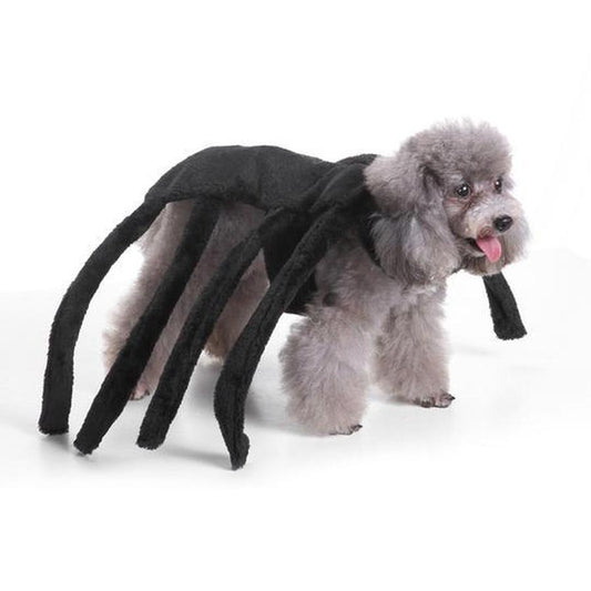 JMT-244042 Dog Spider Costume for Pets - Unique Design for Halloween Fun