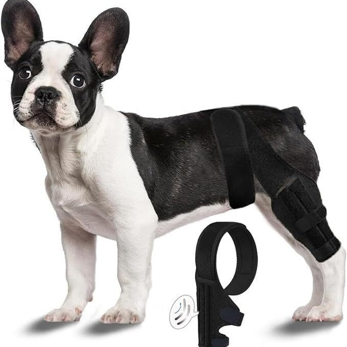 JMT-249738 Dog Rehabilitation Support Belt for Leg Injury Recovery - Black, XS to L Size, Polyester Material