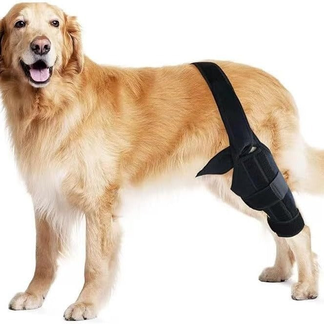 JMT-249738 Dog Rehabilitation Support Belt for Leg Injury Recovery - Black, XS to L Size, Polyester Material