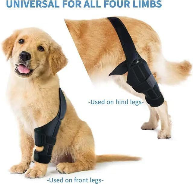 JMT-249738 Dog Rehabilitation Support Belt for Leg Injury Recovery - Black, XS to L Size, Polyester Material