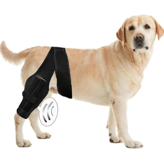 JMT-249738 Dog Rehabilitation Support Belt for Leg Injury Recovery - Black, XS to L Size, Polyester Material
