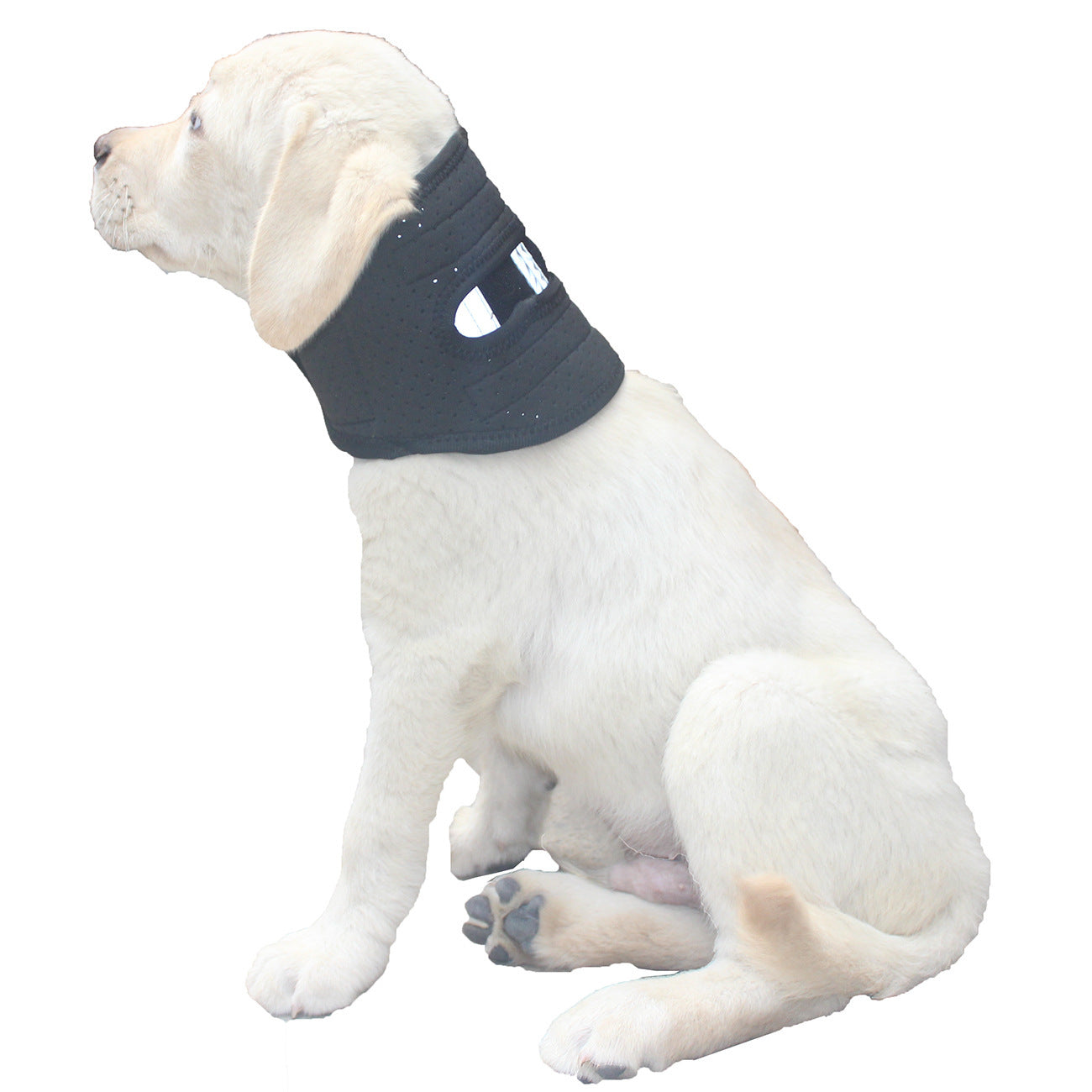 JMT-252682 Cervical Neck Support Brace for Dogs - Breathable Fabric with Reflective Strip, Multi-Size for Injury Recovery