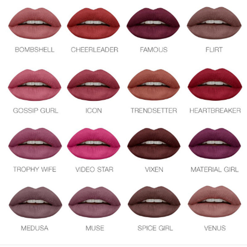 JMT-253450 Long Lasting Waterproof Lipstick Gift Set - 16 Matte Lip Gloss Shades