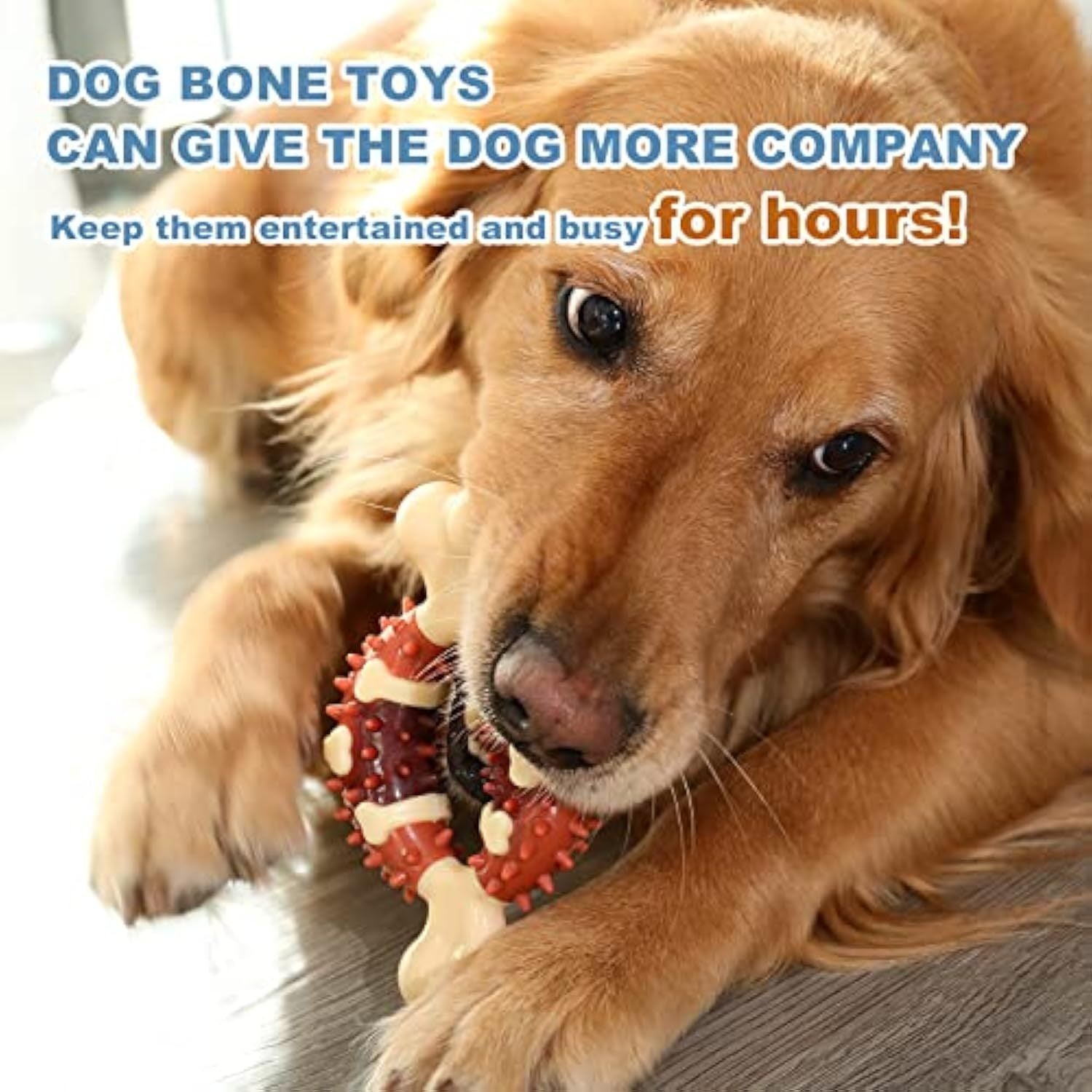 JMT-254154 Pet Molar Chew Toy for Teeth Grinding and Anxiety Relief - Natural Rubber Bone Shape for Dental Health and Chewing Fun