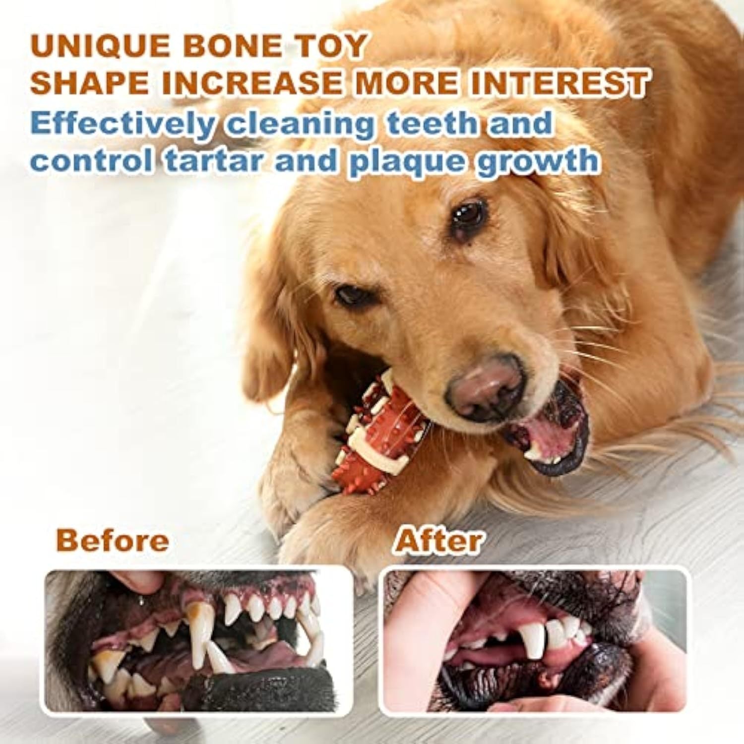 JMT-254154 Pet Molar Chew Toy for Teeth Grinding and Anxiety Relief - Natural Rubber Bone Shape for Dental Health and Chewing Fun