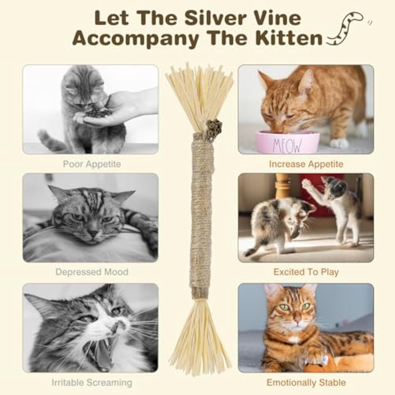 JMT-255306 Natural Silvervine Cat Chew Sticks - 3 Pack for Dental Care and Healthy Play