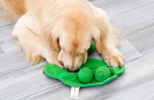 JMT-256778 Pet Scent Mat for Dogs – Sniffing Training Pad in Beige and Green, 73x73CM