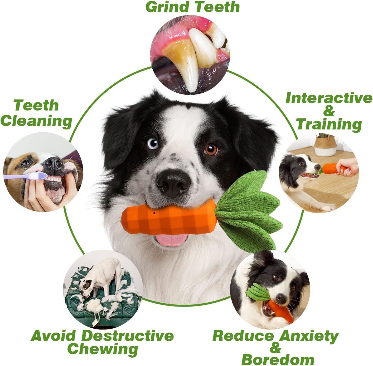 JMT-262218 Interactive Rubber Carrot Dog Toy for Medium Aggressive Chewers with Squeaker and Dental Care Features