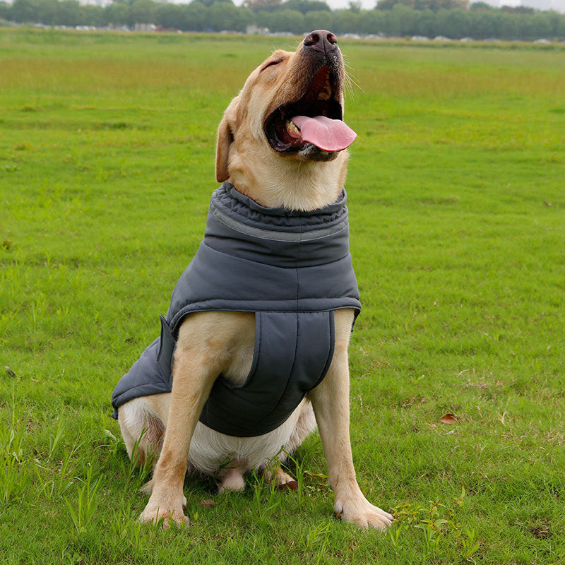 JMT-265610 Cold-Proof and Rain-Proof Pet Coat for Large Dogs - Corgi Trench Style Clothing