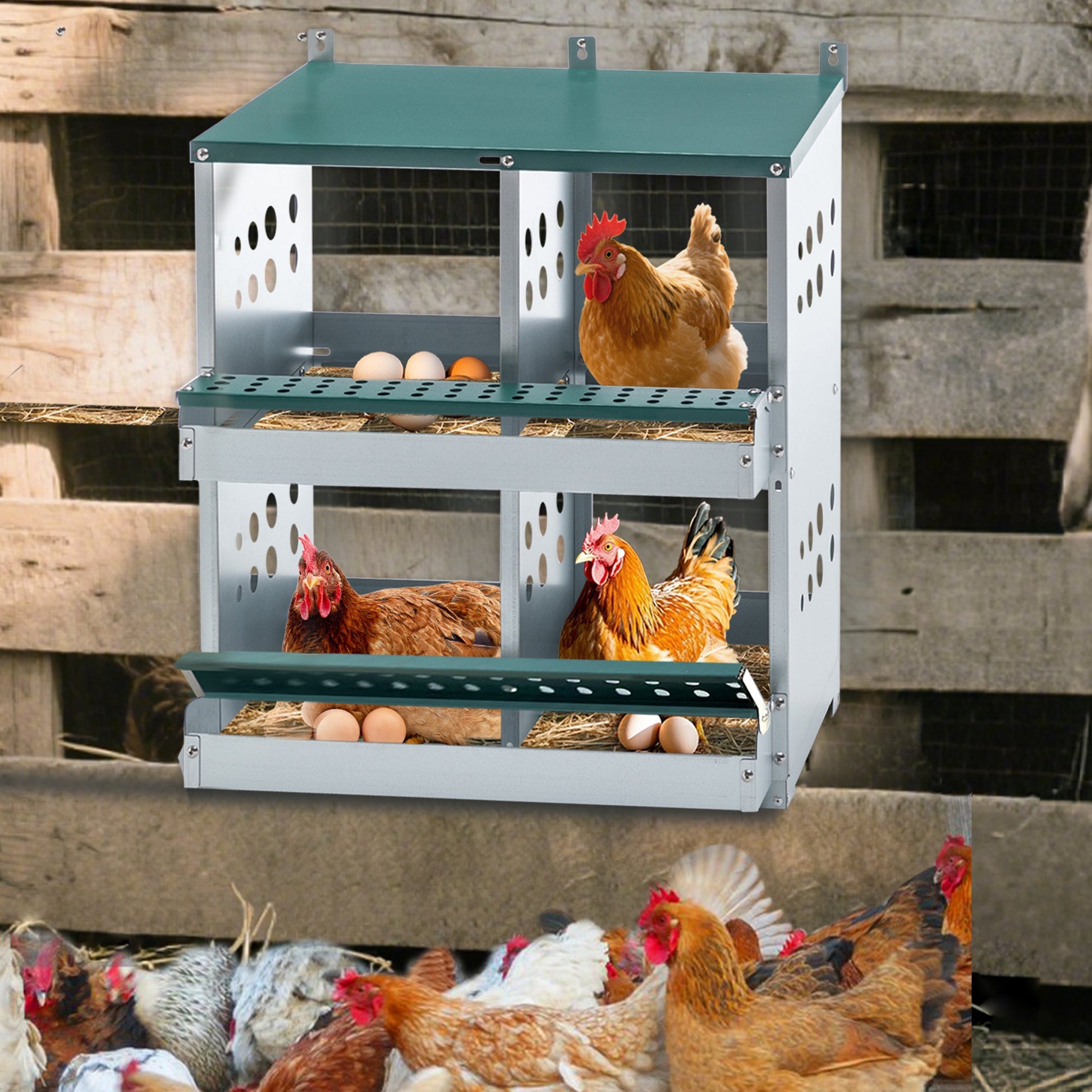 JMT-269002 4 Compartment Metal Nesting Box for Chickens - Galvanized Steel Wall-Mount Egg Laying Coop