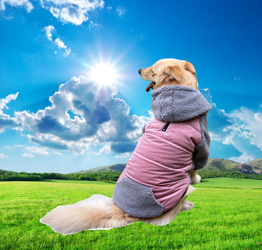 JMT-270922 Detachable Double-Sided Dog Clothes in Various Colors and Sizes