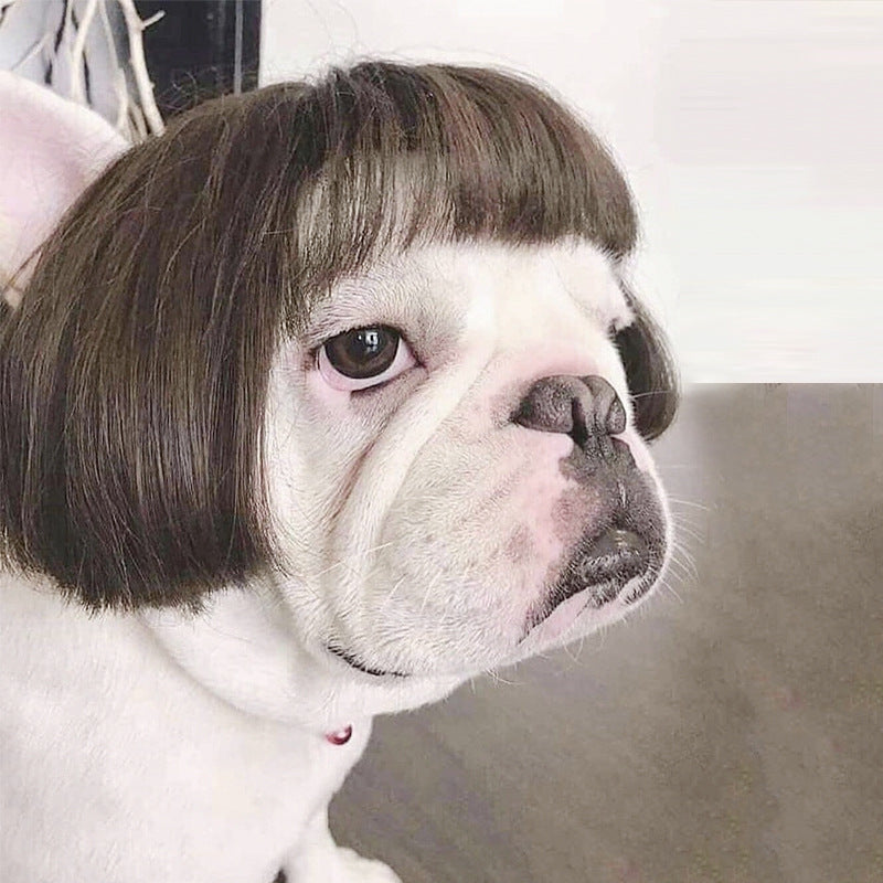 JMT-272074 Cosplay Tool Wig for Dogs - Free Size Polyester Material, 45g Weight, 15x25cm Packing Size