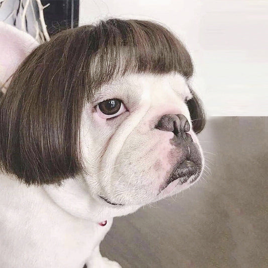 JMT-272074 Cosplay Tool Wig for Dogs - Free Size Polyester Material, 45g Weight, 15x25cm Packing Size