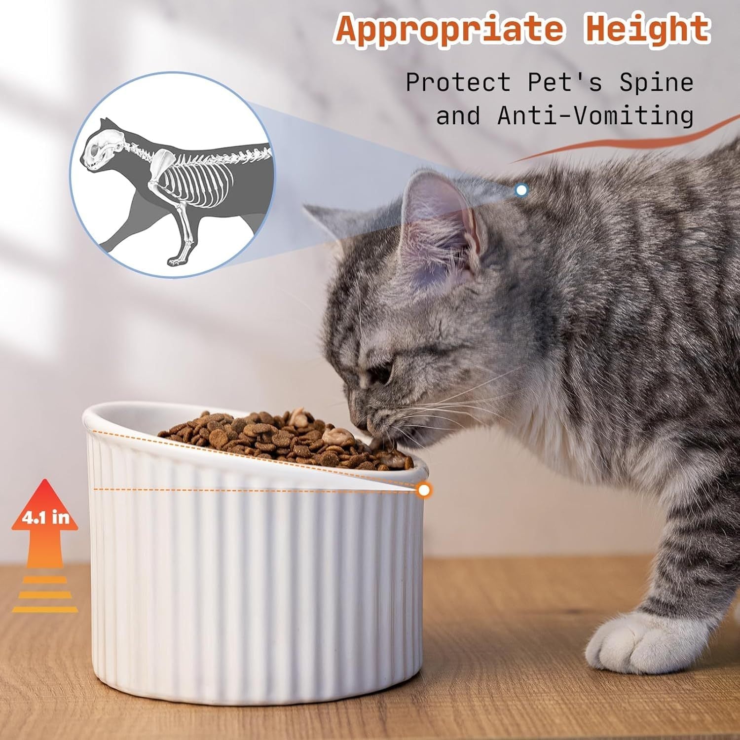 JMT-272266 Elevated Ceramic Cat Bowl Set - Whisker-Friendly, Anti-Vomit Design for Food and Water, Ideal forIndoor Cats and Puppies