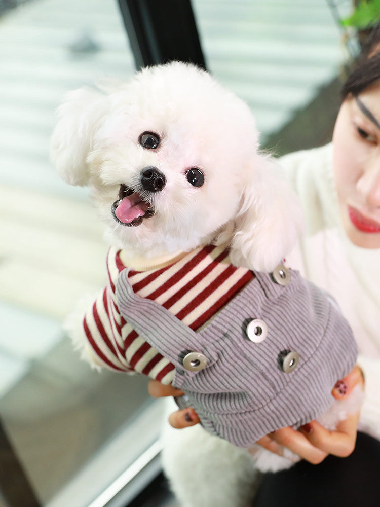 JMT-273226 Khaki and Wine Red Striped Corduroy Four-Legged Dog Outfit for Autumn and Winter