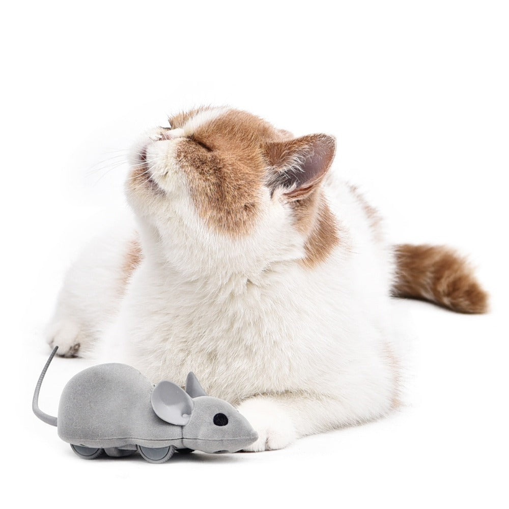 JMT-277194 Remote-Controlled Electric Mouse Toy for Cats - Flocking and ABS Plastic, Available in Black, Brown, and Gray