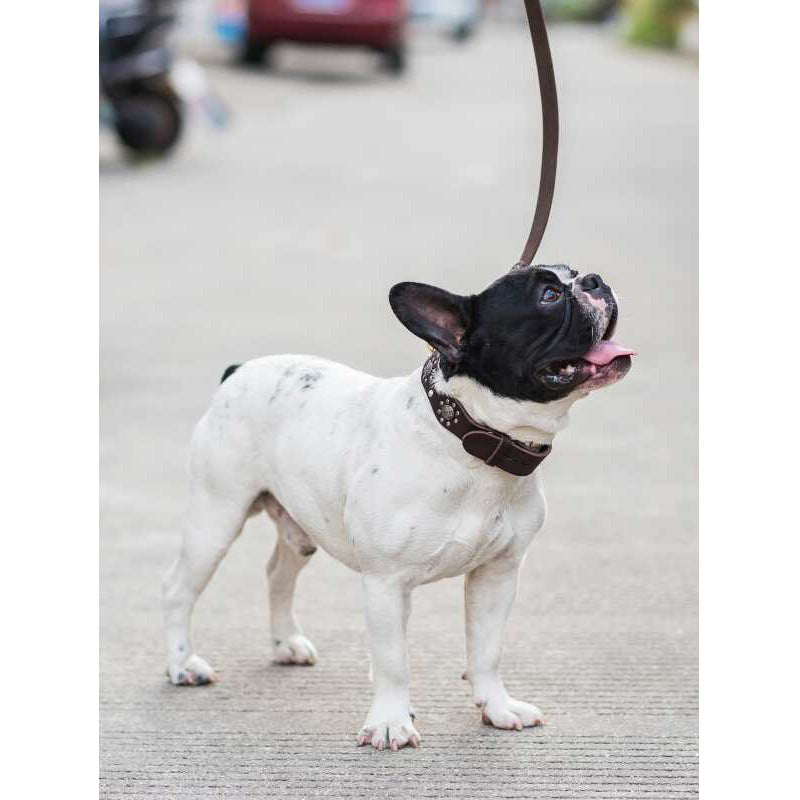 JMT-279690 Durable Cowhide Leather Dog Leash for Medium and Large Dogs