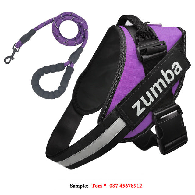 JMT-282826 Personalized Adjustable Reflective Dog Harness and Leash Set - Breathable Nylon Design