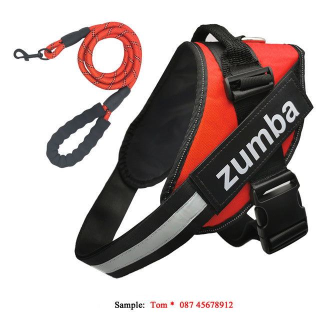 JMT-282826 Personalized Adjustable Reflective Dog Harness and Leash Set - Breathable Nylon Design