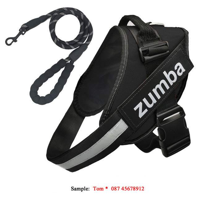 JMT-282826 Personalized Adjustable Reflective Dog Harness and Leash Set - Breathable Nylon Design