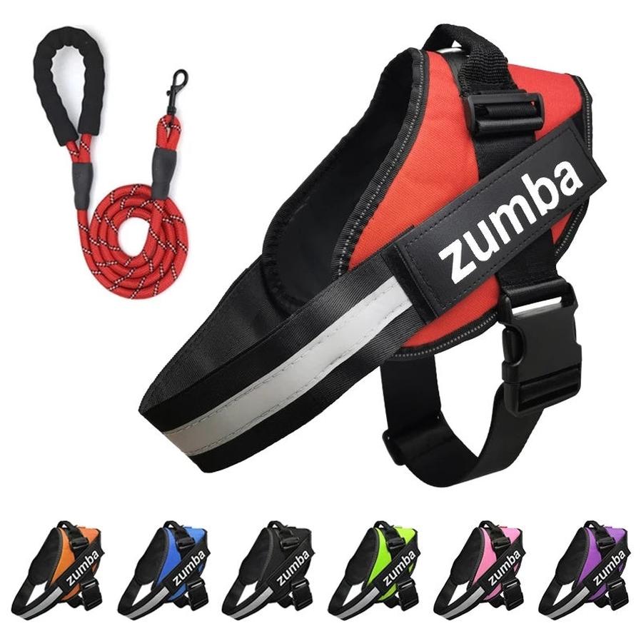 JMT-282826 Personalized Adjustable Reflective Dog Harness and Leash Set - Breathable Nylon Design