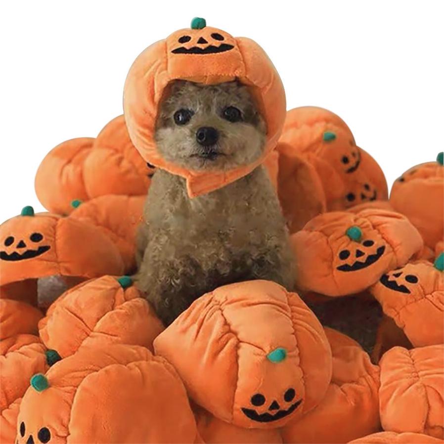 JMT-283466 Pumpkin Hat for Small Pets – Cute Halloween Cosplay Accessory for Cats and Dogs