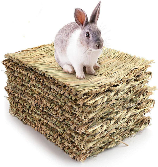 JMT-284106 Durable 3-Pack Wooden Rabbit and Small Animal Mat Toy Bed for Guinea Pigs and Chinchillas