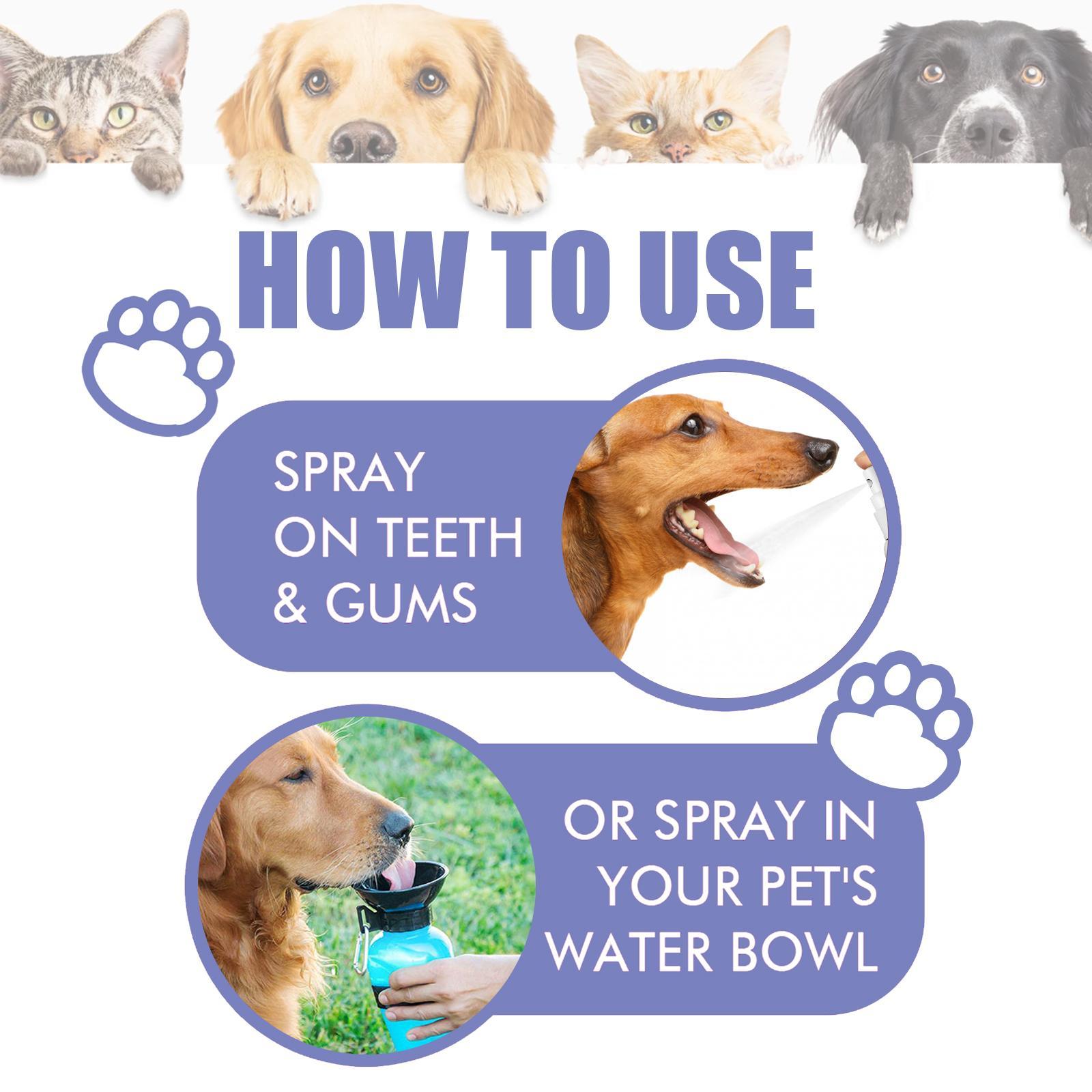 JMT-287178 Pet Oral Cleaning Spray for Cats and Dogs - Freshens Breath, Fights Plaque and Gum Disease