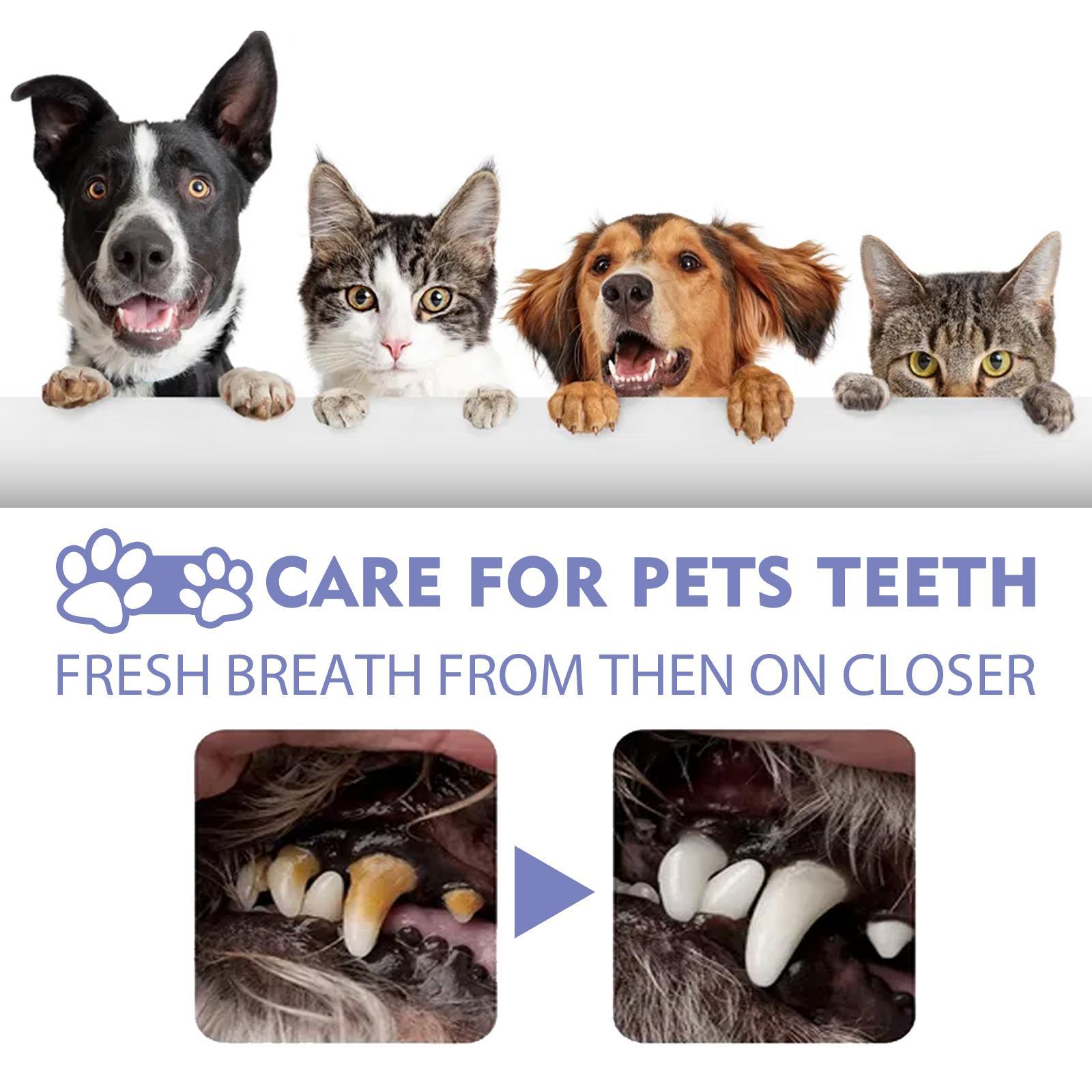 JMT-287178 Pet Oral Cleaning Spray for Cats and Dogs - Freshens Breath, Fights Plaque and Gum Disease