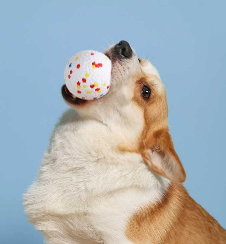 JMT-293834 Interactive Floating Dog Toy Ring - Soft, Durable Chew Ball for Medium & Large Dogs - Promotes Oral Hygiene and Fun Outdoor Play