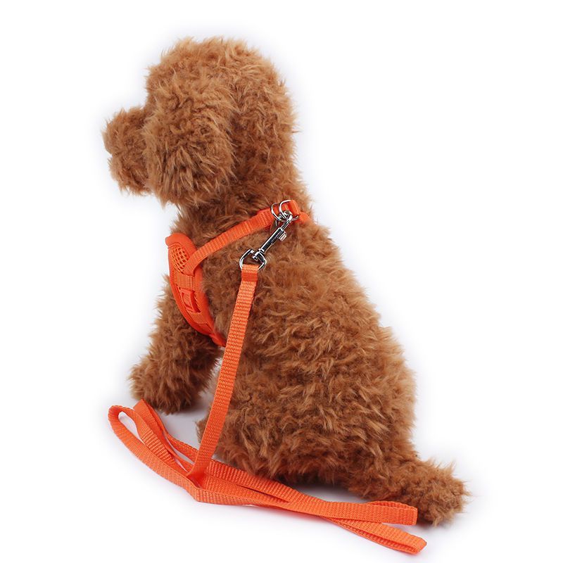 JMT-295626 Breathable Mesh Dog Vest Harness with Adjustable Fit and No-Pull Design