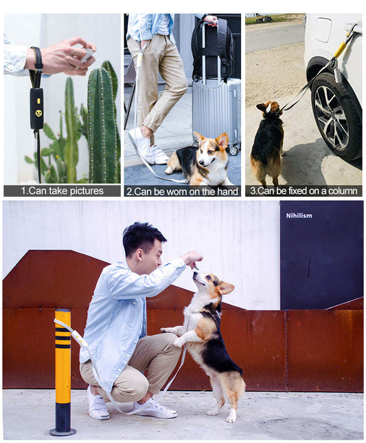 JMT-296650 Elastic Nylon Leash for Small and Medium Dogs up to 30KG in Various Colors