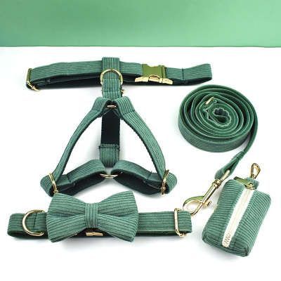 JMT-300938 Christmas Green Velvet Dog Collar with Gold Buckle and Leash Set