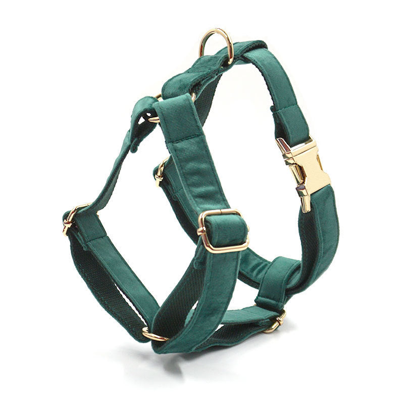 JMT-300938 Christmas Green Velvet Dog Collar with Gold Buckle and Leash Set