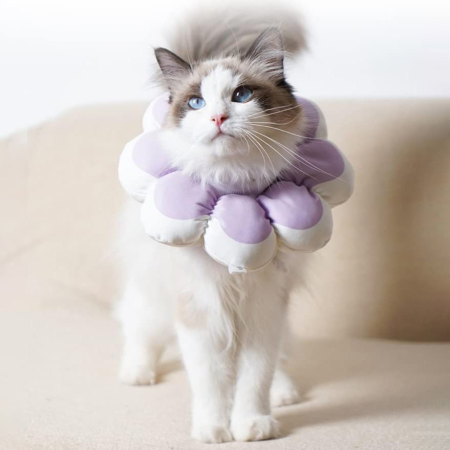 JMT-301258 Soft and Breathable Cat Recovery Cone Collar for Post-Surgery Comfort