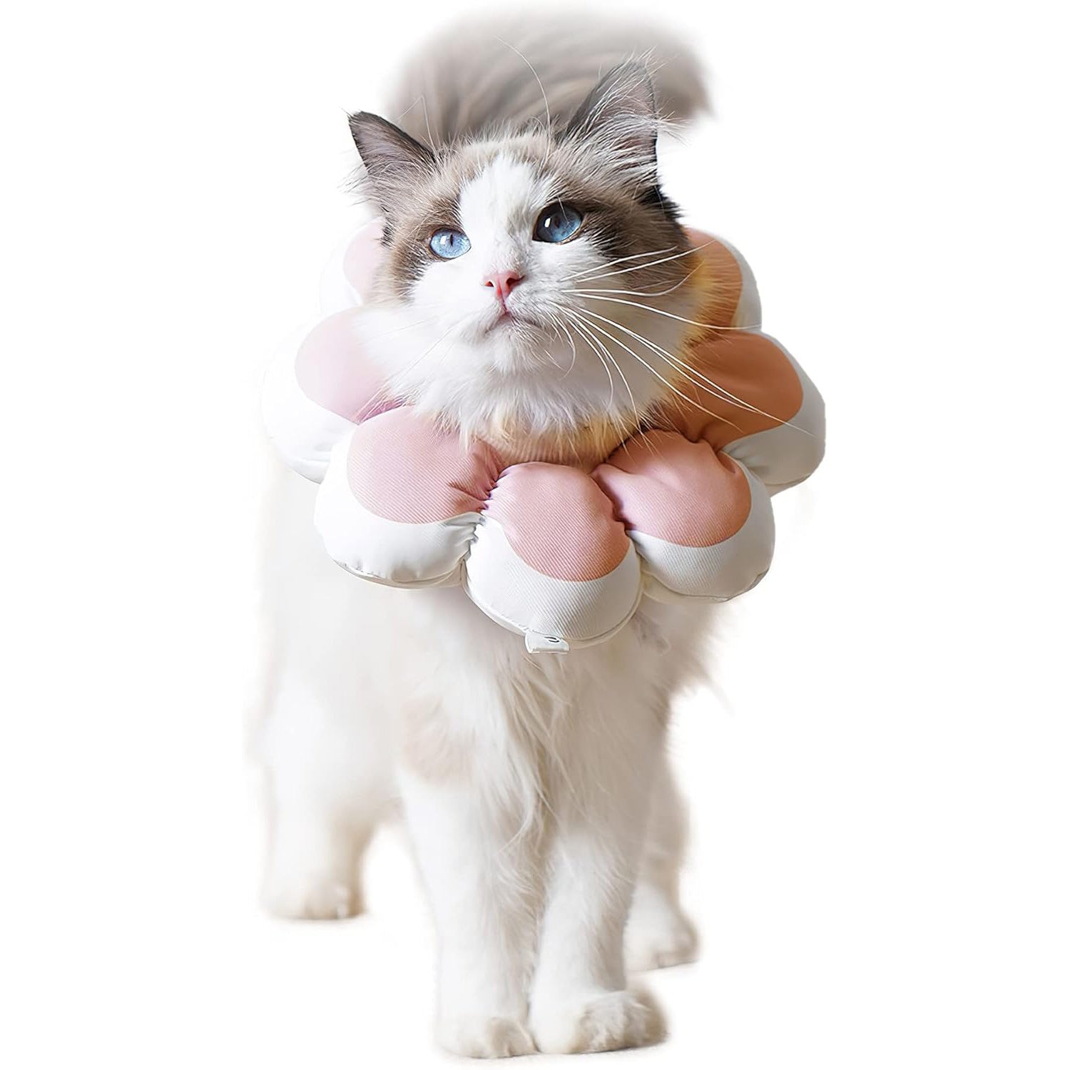JMT-301258 Soft and Breathable Cat Recovery Cone Collar for Post-Surgery Comfort