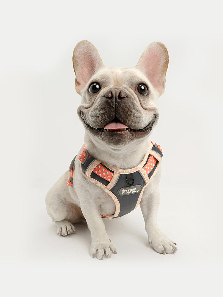 JMT-303242 Adjustable Dog Vest Harness with Drawstring - Suitable for Various Sizes and Weights