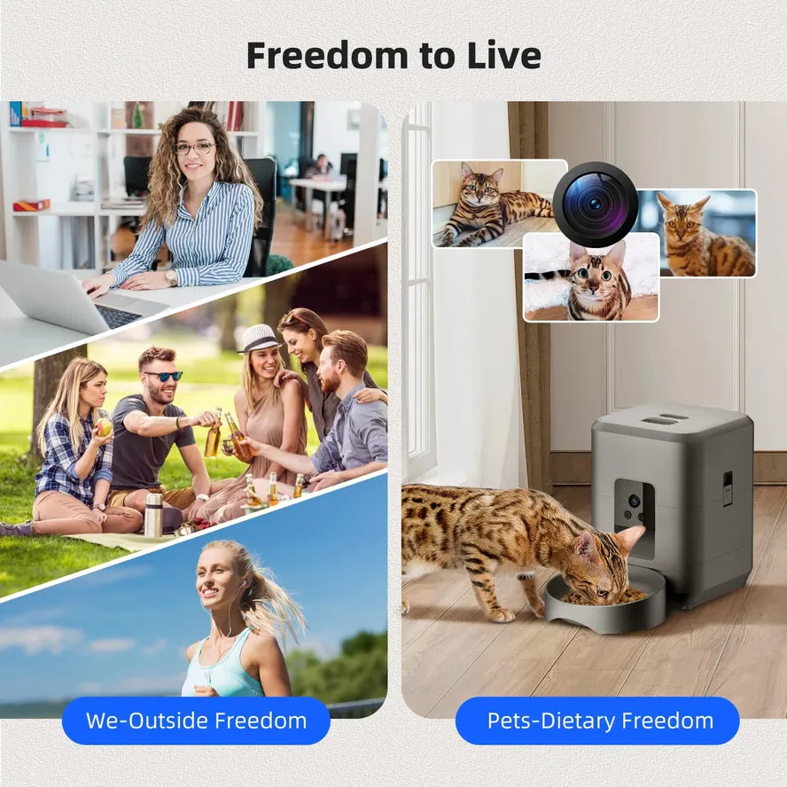 JMT-303434 Automatic Cat Feeder with 2L Capacity and Video Camera Including Night Vision and 2.4G WiFi Connectivity