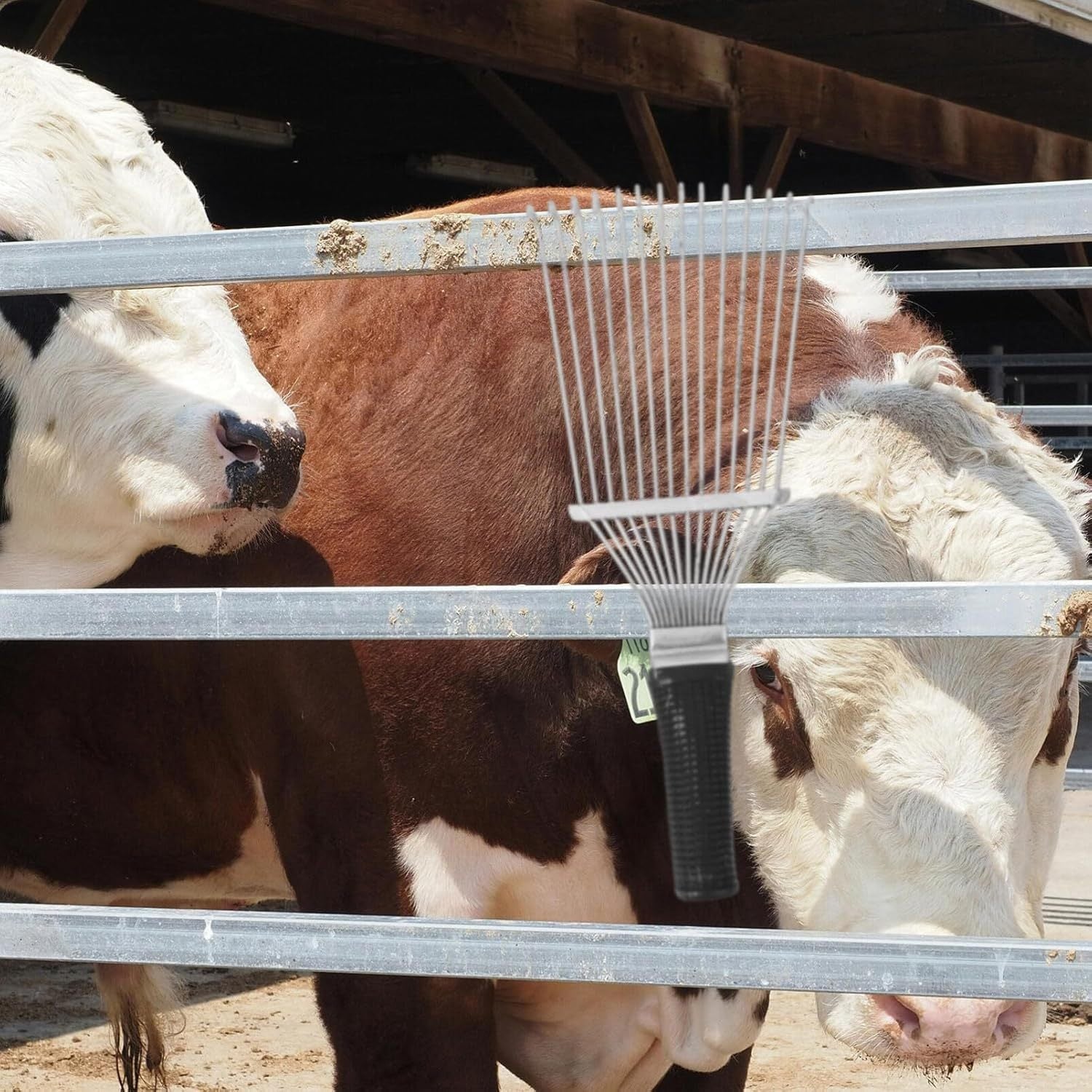 JMT-307594 Pet Grooming Dematting Rake and Undercoat Brush for Dogs and Horses, Stainless Steel Hair Removal Tool