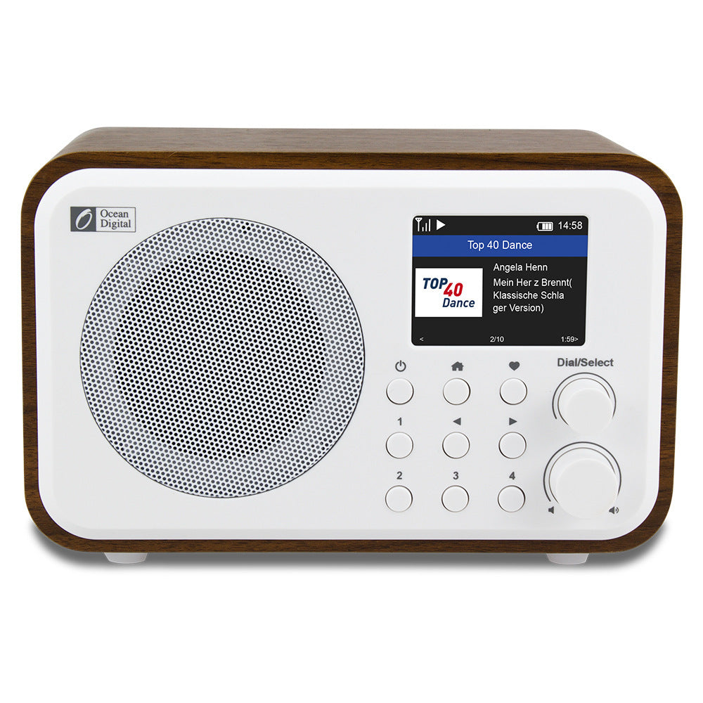 JMT-309002 Compact Wi-Fi Audio Receiver with Bluetooth and Built-in Battery