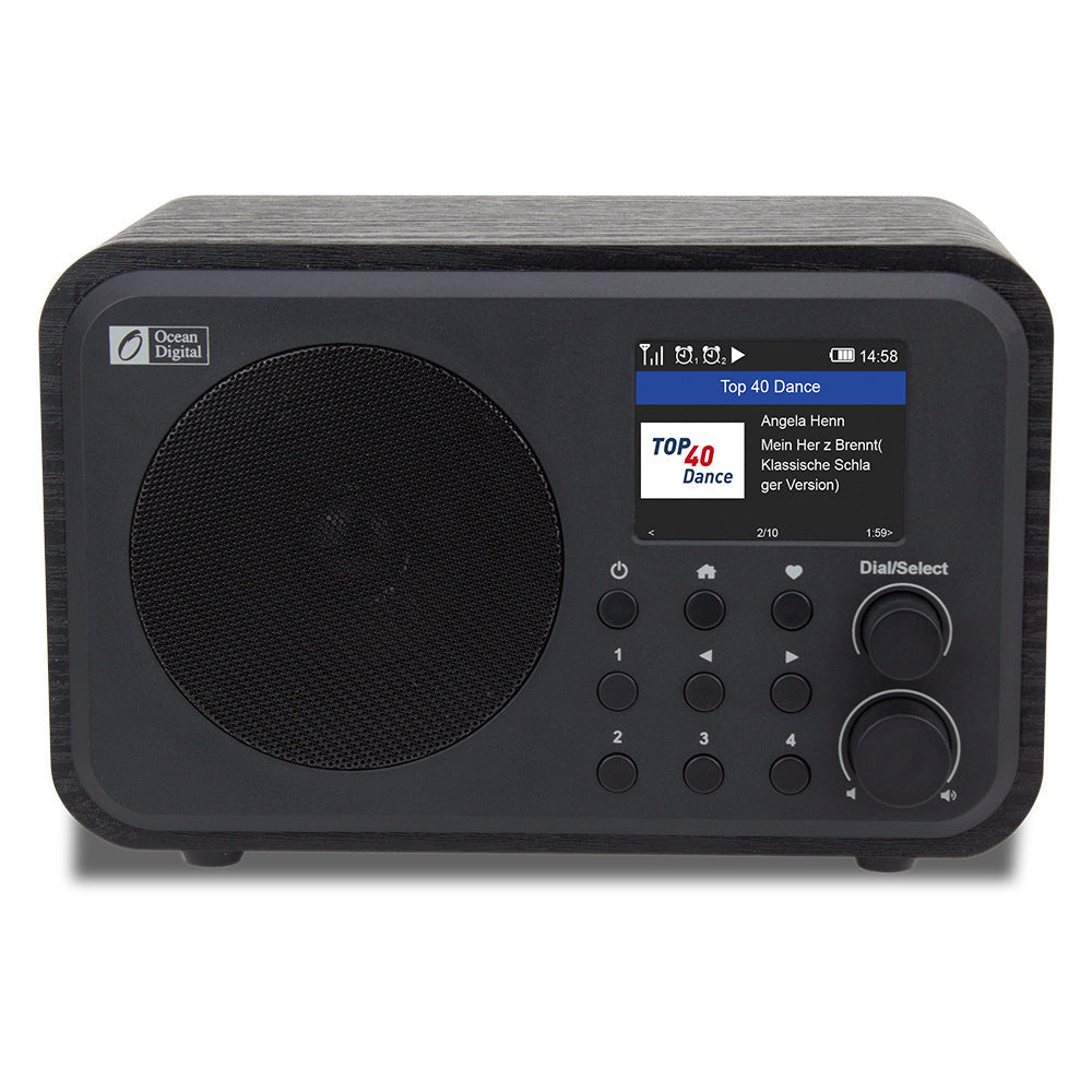 JMT-309002 Compact Wi-Fi Audio Receiver with Bluetooth and Built-in Battery