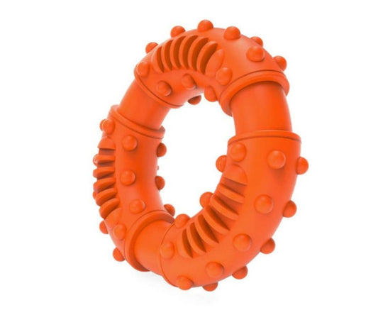 JMT-310794 Interactive Rubber Bite Ring - Five Horizontal Circles in Assorted Colors