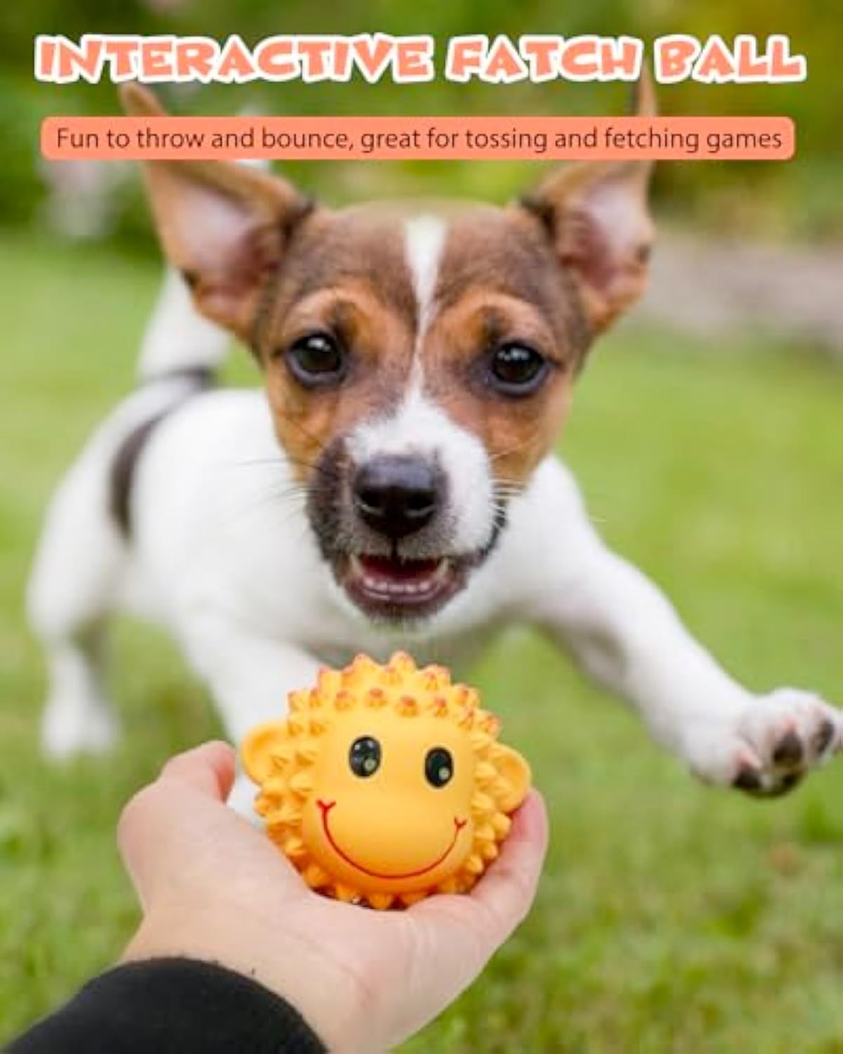 JMT-311946 Interactive Squeaky Dog Toys - Latex Spiky Fetch Balls for Small to Medium Dogs