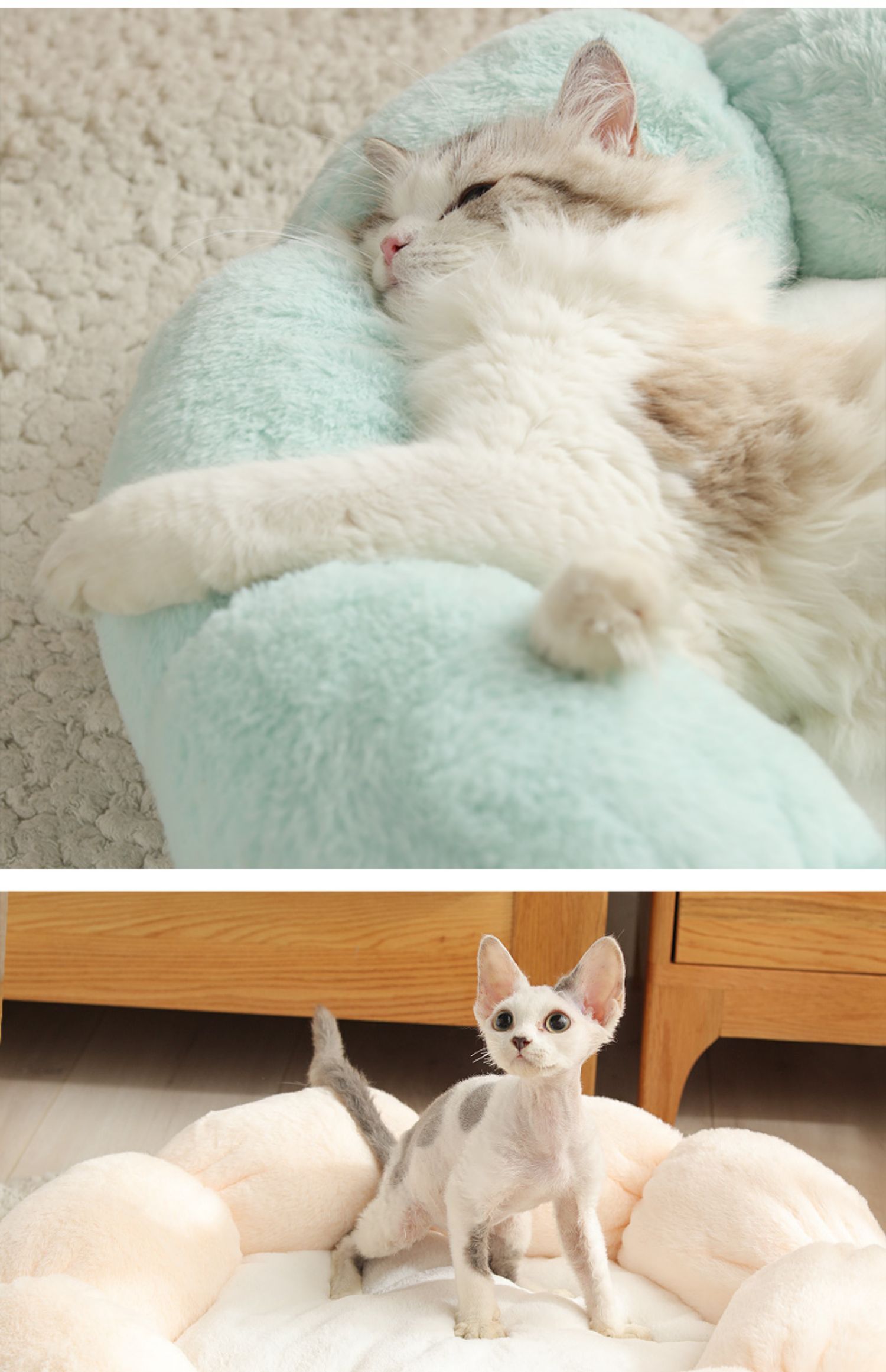 JMT-316874 Warm Wool-Like Cat Litter with High Resilience Thermal Cotton Filling