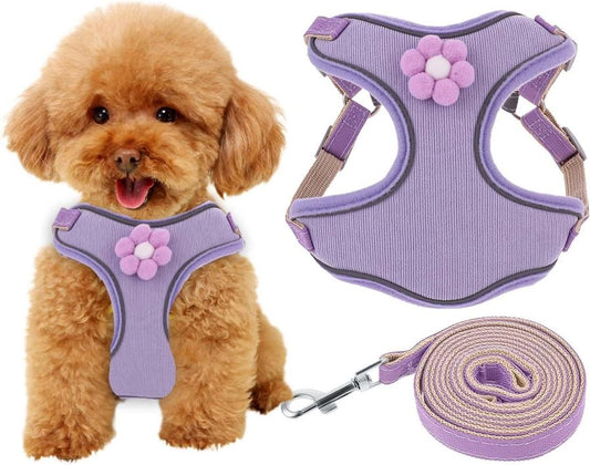 JMT-317898 Breathable Mesh Dog Harness with Reflective Strips and Quick Release Buckle for Small to Large Dogs