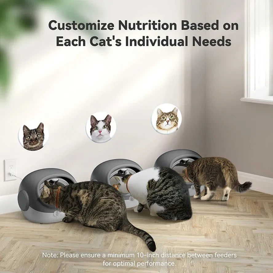 JMT-320394 Smart Automatic Cat Feeder with Microchip and Collar Sensor for Wet and Dry Food Dispenser