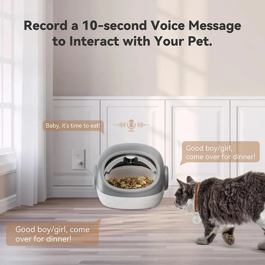 JMT-320394 Smart Automatic Cat Feeder with Microchip and Collar Sensor for Wet and Dry Food Dispenser