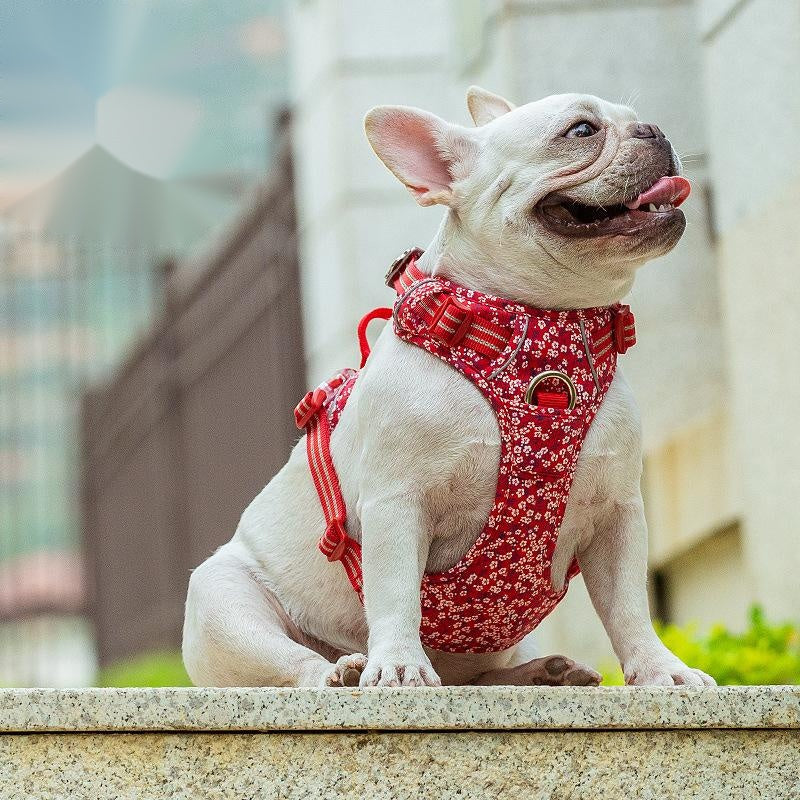 JMT-321354 Floral Pet Dog Chest Strap with Reflective Nylon and Aluminum Buckle for Enhanced Safety