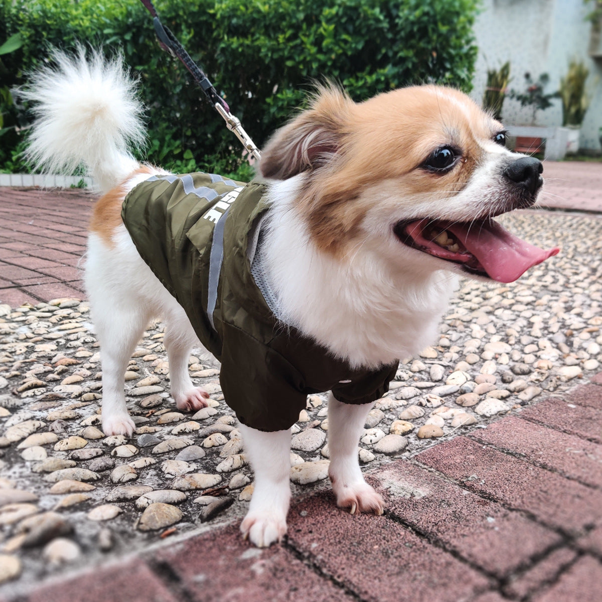 JMT-321930 Waterproof Hooded Pet Raincoat with Reflective Strips for Dogs - Available in Multiple Sizes and Colors