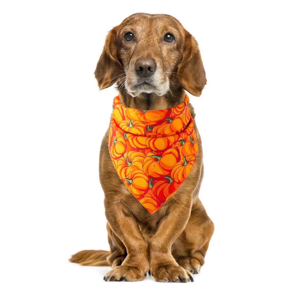 JMT-326090 Halloween Pet Saliva Towel - Casual Style for Pet Care and Festive Fun